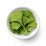 Ginkgo Biloba Leaf Extract